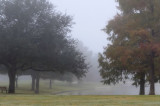 NOVEMBER SCAVENGER HUNT