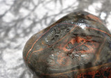 METAL~STONE~WOOD~FABRIC