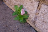 SEPTEMBER SCAVENGER HUNT