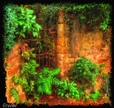 Enchanted Gardens