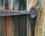 Weathered Wood