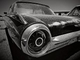 Sepia & B&W