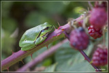_MG_0843kopie.jpg