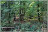 Bokrijk