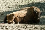 A Nyíregyházi Állatpark - Sóstó Zoo