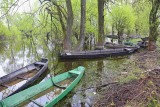 Boats čolni_IMG_3984-111.jpg