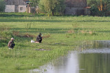 Anglers ribiča_MG_2758111.jpg