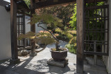 The Japanese Garden
