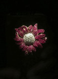 'Spectacular' exhibit, the elusive brooch