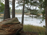 Landscapes - Sweden
