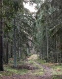 Landscapes - Sweden