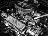 Automotive Expressions