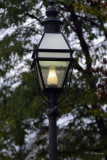 Day 16 - Lantern Head Shots