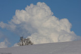 Landscapes-Paesaggi
