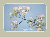 flower_gallery