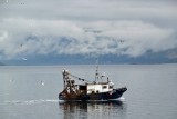 Fishing Boats