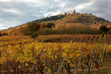 Chateau duhaut Koenigsbourg