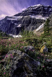 Mount Edith Cavell, Jasper National Park, Alberta, Canada