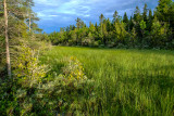Sandy Swale, Ridges Sanctuary, Door County, WI
