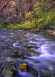 Virgin River, Zion Canyon, Zion National Park, UT