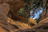 Lone Pine Arch Ruin, Mystery Valley, AZ
