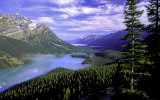 (CR11) Peyto Lake and Mistaya Mountain, Banff National Park, Alberta, Canada