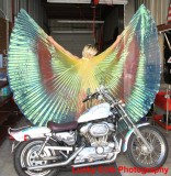 Butterfly Wings