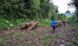 Northern Peru