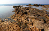 Ahziv_21-12-2015 (73).JPG