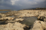Ahziv_13-12-2017 (8).JPG
