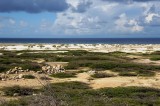Aruba's rocky and sandy coast