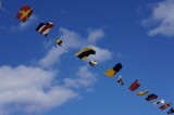 Zuiderdam flags