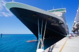 Westerdam's bow