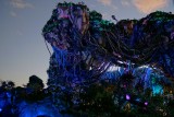 Pandora scenery - night