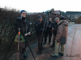 Siberian accentor - New Years day twitchers