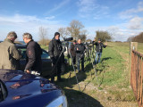 Black-winged kite - twitchers