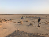 Birding around basecamp