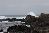 Birds in Azores - Landscape