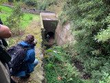 Birds in Azores - Birders in Action