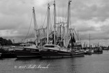 tarpon_springs_fl
