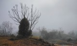 Highlights of the Newell Highway