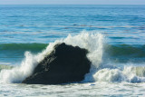 2016-11-10b_Coast_and_Elephant_Seals_N_of_San_Simeon--1290--_RLH7468.jpg