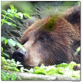 Koeln Zoo