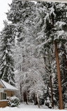 eh_snow