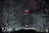 Night Photography