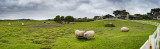 Panoramics
