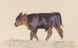 My art work - Graphite pencil, water mixable oils, pastel pencils, watercolours.