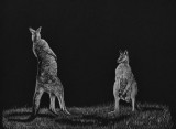 My art work - Graphite pencil, water mixable oils, pastel pencils, watercolours.