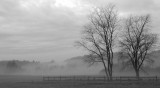 DSC_0668.jpg