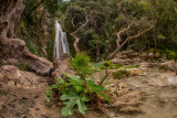 NEDA RIVER